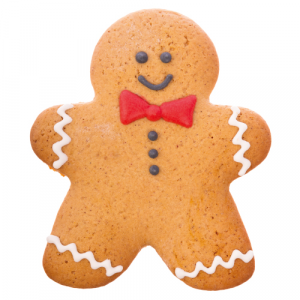 Ginger Bread Biscuit